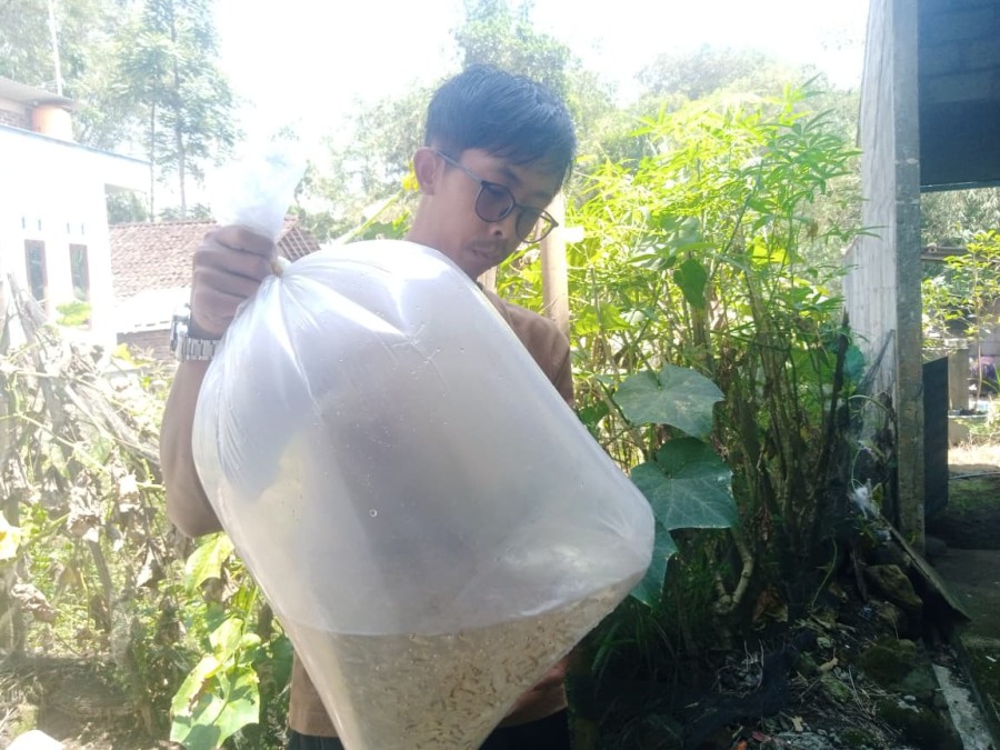Gambar Berita